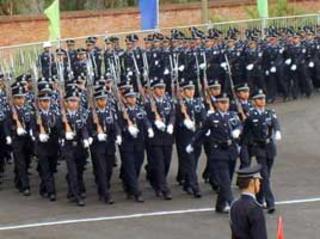 174.jpg