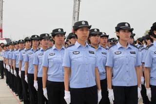 报名中药专业要多少分